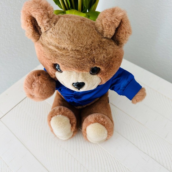 Trudy Teddy Bear NFL Seattle Seahawks Team Plush Stuffed Animal 14" Vintage 80s - Picture 2 of 8